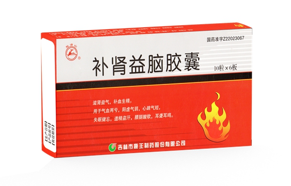 补肾益脑胶囊
